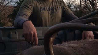 Buck Down in late season Oklahoma Bowkill in Deercember [upl. by Sibella]