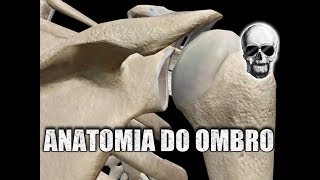 ANATOMIA do OMBRO e SÍNDROME DO IMPACTO  Anatomia Humana [upl. by Bohner343]