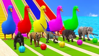 Basket Ball Game Game With Cow Elephant Gorilla Tiger Dinosaur Wild Animal Escape Cage Game [upl. by Cecilio]