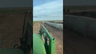 Hauling hay Cattle Ranching FarmLife Fun ￼ [upl. by Mellitz]