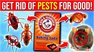 9 Baking Soda Hacks To Get Rid Of Pests From Your Home NATURALLY Mice Cockroaches Fleas Ants [upl. by Arakat]