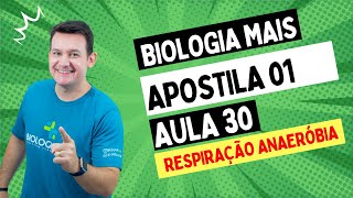 BIOLOGIA MAIS  AP01  AULA 30  RESPIRAÇÃO ANAERÓBIA  PROF FERNANDO BELAN [upl. by Abernon163]