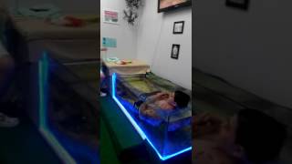 Amazing Whole Body Fish Spa in Sochi [upl. by Bust]