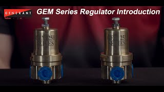 Generants GEM Series Mini Combo PBE Regulator [upl. by Epillihp]