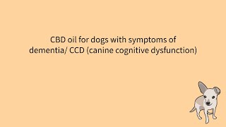 CBD oil for dogs with CCD  Canine Cognitive Dysfunction  Dementia [upl. by Bainbridge]