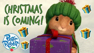 ​OfficialPeterRabbit  Fun amp Games This Festive Season🎄🥳🎄  Cartoons for Kids [upl. by Enelram]