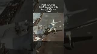 WW2 Pilot Survives Crash Landing [upl. by Eisen]