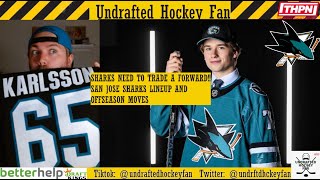 202425 San Jose Sharks Lineup and Offseason Review [upl. by Janka]