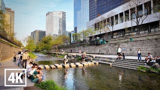 Walking tour in Cheonggyecheon Seoul Spring has come🌿 l 4K HDR [upl. by Fax]