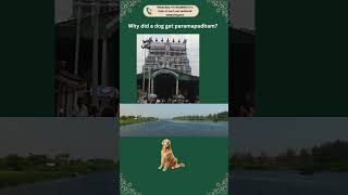 How did a dog get to go to Paramapadham [upl. by Eisenhart663]