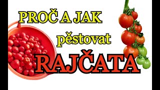 RAJČATA  Pěstování rajčat v domě i v bytě  PROČ a JAK pěstovat rajčata  pro začátečníky [upl. by Arodnahs319]