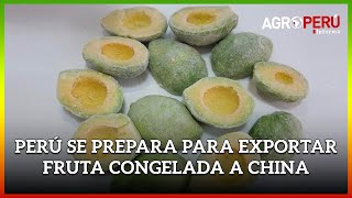 PERÚ SE PREPARA PARA EXPORTAR FRUTA CONGELADA A CHINA [upl. by Eellehs]