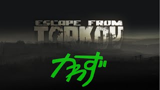 【Escappe from Tarkov】 ぶらりお散歩タルコフ ＃2【この先生きのこれるのか】 [upl. by Naellij204]