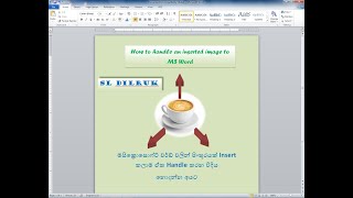 How to Move an image with Microsoft Word MS Word වලින් පිංතූරයක් Insert කලාම ඒක Handle කරන විදිය [upl. by Mariken]