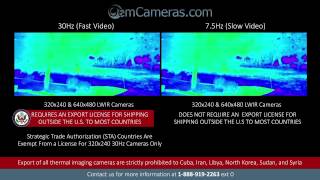 FLIR Tau 2  75Hz amp 30Hz Frame Rate Comparison Video with all Color Palettes [upl. by Avad]