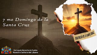 Divina Liturgia Maronita  7mo Domingo de la Santa Cruz [upl. by Woodall179]