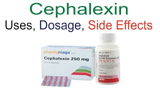 Cephalexin Cefalexin Uses Dose and Side Effects [upl. by Grose]