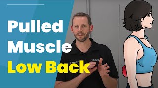 Pulled Muscle In Low Back 3 DIY Treatments [upl. by Nalehp688]