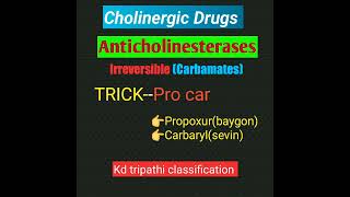 Cholinergic Drugs part 4 anticholinesterasescarbamatespharmacology trick classification [upl. by Rutan]