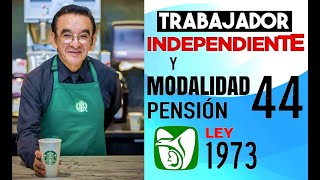 La Pensión IMSS como TRABAJADOR INDEPENDIENTE o Modalidad 44 ventajas [upl. by Jet678]