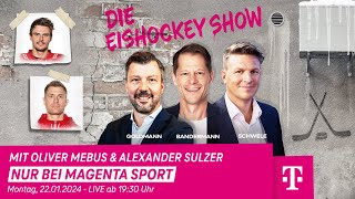 Die EishockeyShow  Folge 10 mit Oliver Mebus amp Alexander Sulzer  MAGENTA SPORT [upl. by Scherman]