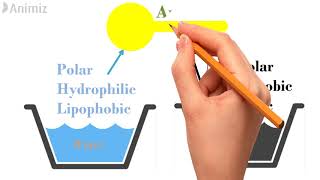 Surfactants and its mechanism of action [upl. by Adar]