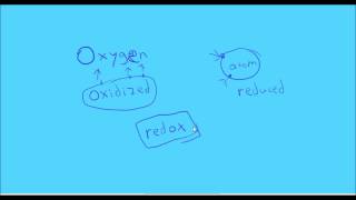 Tutorial on Chemical Bonds [upl. by Assirral]