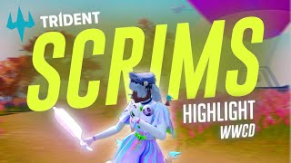 Solo 9 kills WWCD In 🔱Trident Scrims gameplay  Trident esports gameplay 🔥 [upl. by Winnie916]