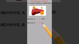 Les virus de lhépatite et leurs types de matériels génétiques [upl. by Yort330]