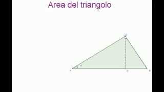 Area del triangolo [upl. by Salocin]