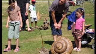 Around the show at Potfest in the Park  a ceramic festival in Cumbria [upl. by Ahsinat]