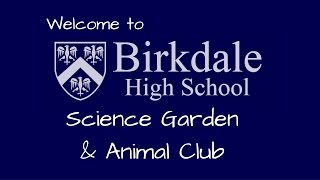 Welcome to Birkdale High School Animal Club [upl. by Aynekat841]