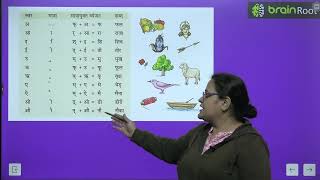 BRAIN ROOT HINDI VYAKRAN CLASS 2 CHAPTER 2 VARN VICHAR [upl. by Kletter82]