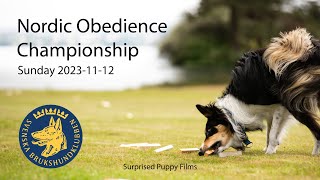 20231112 NoM i lydnad  Nordic Obedience Championship [upl. by Erialb18]