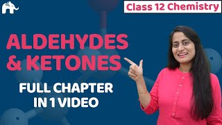 Aldehydes Ketones and Carboxylic acids One Shot  Class12 Chemistry Chapter 12  CBSE JEE NEET [upl. by Sherrod437]