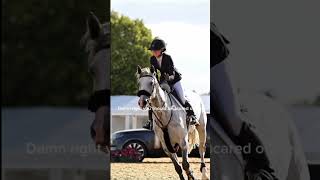 Controlhorse edit equestrian horsefan horsegirl horselover equestrianlove [upl. by Valentina187]