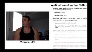 VestibuloOculomotor Reflex VOR EXPLAINED [upl. by Eolanda]