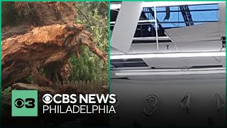 Delaware tornado damages Acme store and homes uproots trees [upl. by Schnorr]