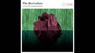 The Revivalists  Stand up [upl. by Ilegna267]