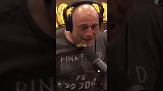 Five Different Teams Looking for Trump  Joe Rogan [upl. by Ariaj]