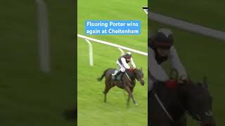 Flooring Porter makes a winning chasing debut horse horseracing racingtv sport [upl. by Dnomayd]