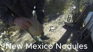 Nodule Full of Crystals from New Mexico [upl. by Coletta690]