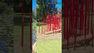 CHIHULY Part 1 ADELAIDE botanicalgarden fyp [upl. by Porche991]