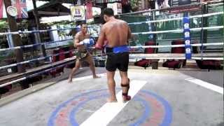 Muay Thai Legend Saenchai Sor Kingstar Training [upl. by Ecinreb]