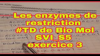 TD de biologie moléculaire svis5 les enzymes de restriction exercice 3 avec saber svt [upl. by Kathrine882]