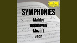 Mahler Symphony No 2 in C minor  quotResurrectionquot  3rd Movement  Scherzo  Piccolo [upl. by Nnaxor]