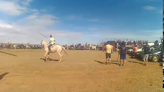 Espanto Carbajales de Alba 2017 toros y bueyes [upl. by Ajssatsan]