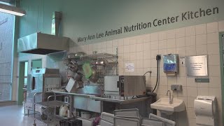 Saint Louis Zoos culinary team feeds thousands of animals [upl. by Germana]