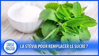 La stévia pour remplacer le sucre [upl. by Elleimac]