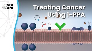 How does a new cancer therapy work [upl. by Siari468]